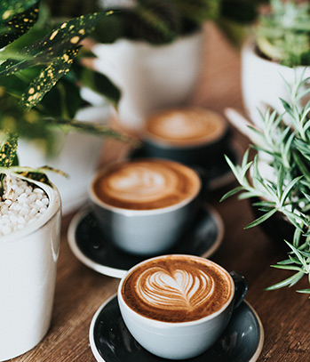 Summer 2018 Arrivals